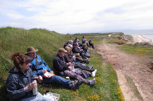 02 06 16_7887.JPG - HENGISTBURY HEAD, EAST DORSET - 2.6.16